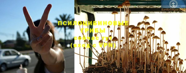 дмт Уссурийск