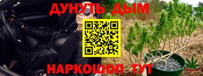 прущие крисы Лесосибирск