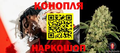 прущие крисы Лесосибирск
