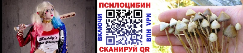 купить закладку  Железногорск  blacksprut зеркало  Галлюциногенные грибы Cubensis 